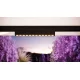 Уличный трековый светильник Points Exility IP 4000К 18Вт 36° черный O-TR02-2-S-18WB4K — фото 11, Светильники для уличной трековой системы освещения Exility IP, Maytoni