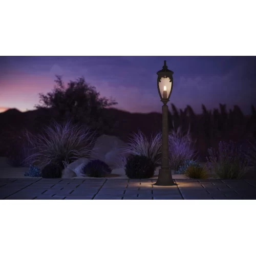 Купить Уличный настенный светильник  Fleur O414WL-01BZ - фото: 14