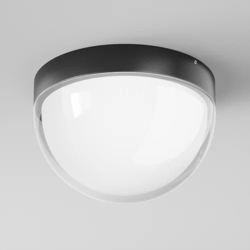 Купить Уличный потолочный светильник Mon O438CL-L12GF3K