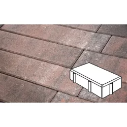 Плитка тротуарная в форме - Брусчатка 200х100