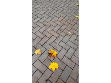 Брусчатка клинкерная Мюнхен