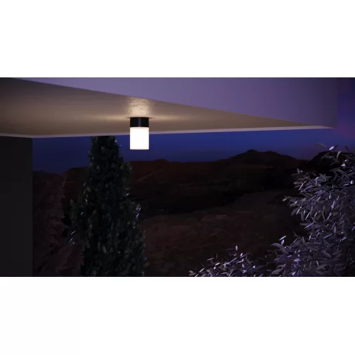 Купить Уличный настенный светильник Willis O418WL-01B - фото: 13