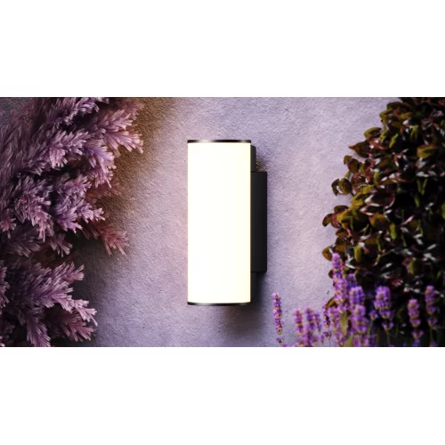 Купить Уличный настенный светильник Rock O434WL-L12GF3K - фото: 10