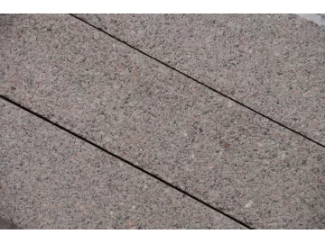 Сильвер 10 Premium Silver