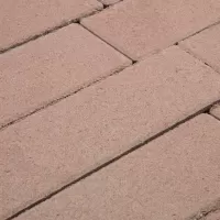 Плитка тротуарная коллекции PROFI цвет Коричневый